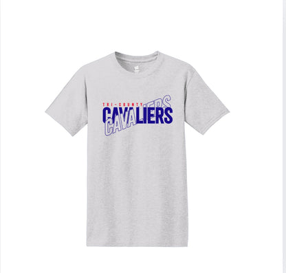 Colored Cavaliers on Grey